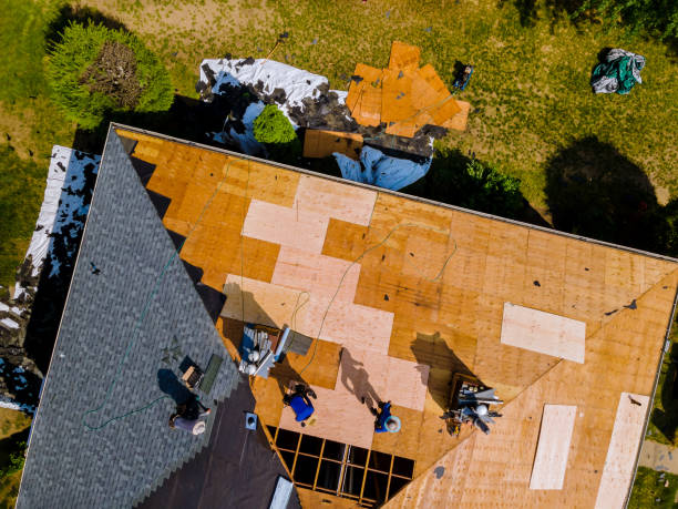 Best Roof Gutter Cleaning  in Oak Valley, NJ